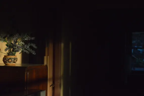 Trada Kasyno Wsparcie